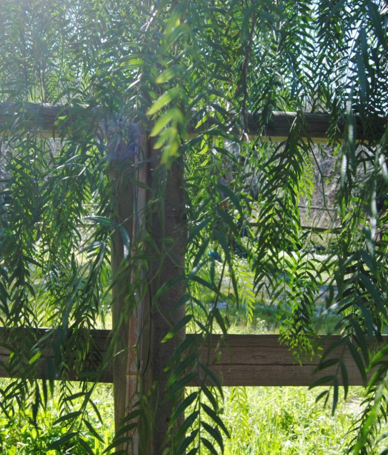 campingacquadolce it home 014